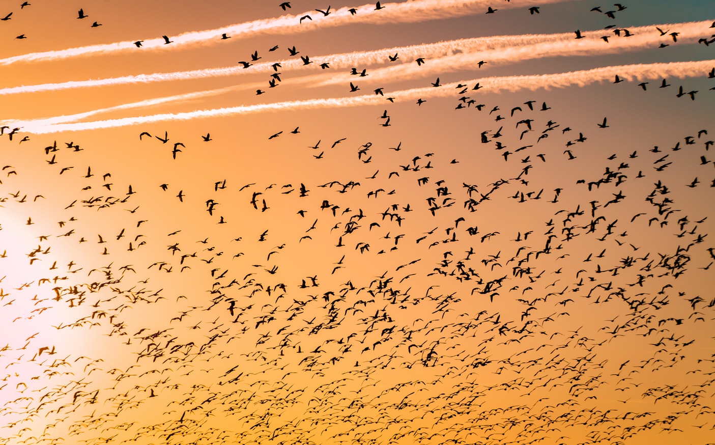 Migrate to cloud the AWS way